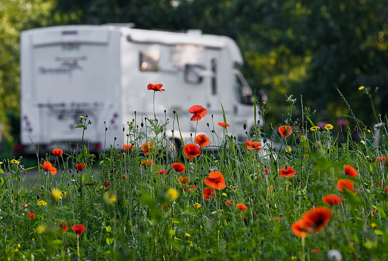 Geldern Straßenmaler D35_9833 als Smart-Objekt-1 Kopie.jpg - Nach einem langen Tag mit vielen Eindrücken kommen wir müde zu unserem Stellplatz zurück. Der Rest des Tages wird gefaulenzt.